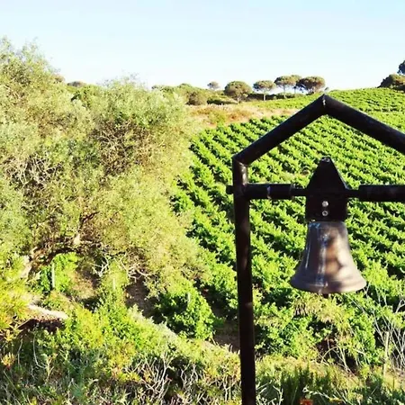 וילה Fabulosa Quinta Do Vento