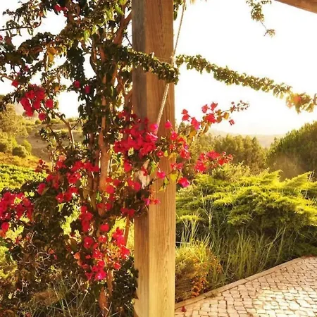 Villa Fabulosa Quinta Do Vento Palmela