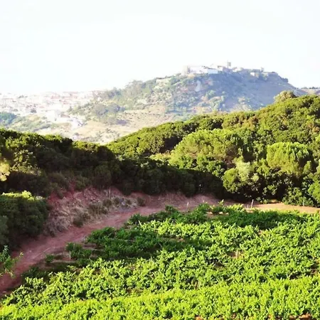 فيلة Fabulosa Quinta Do Vento بالميلا